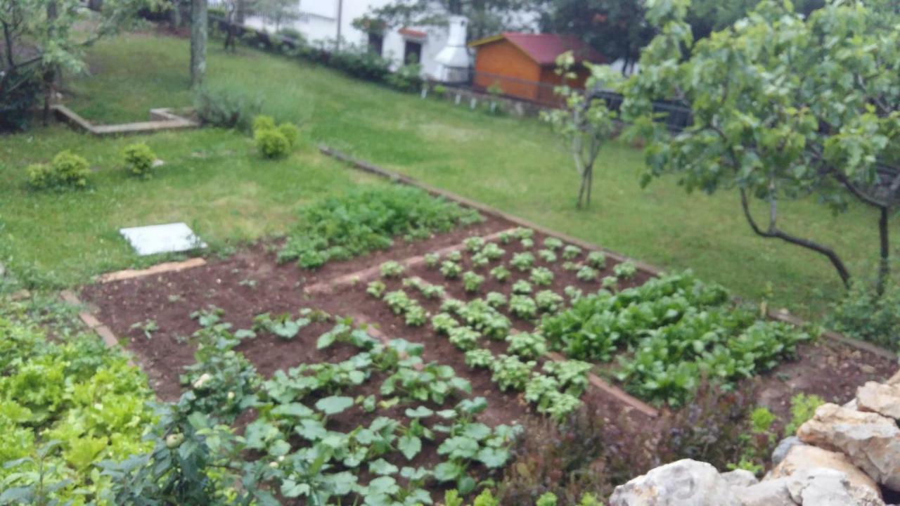 Apartman Ana Kraljevica Luaran gambar